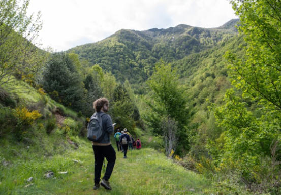 Bosque mágico