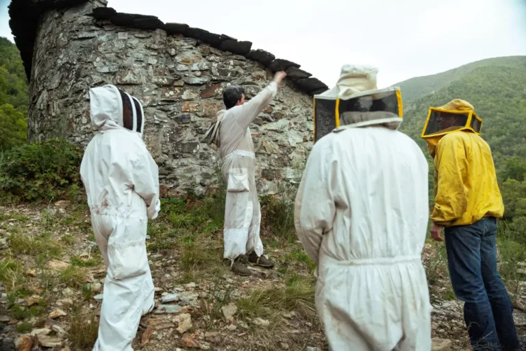 Varias personas vestidas con traje de apicultor atienden a las explicaciones de otra