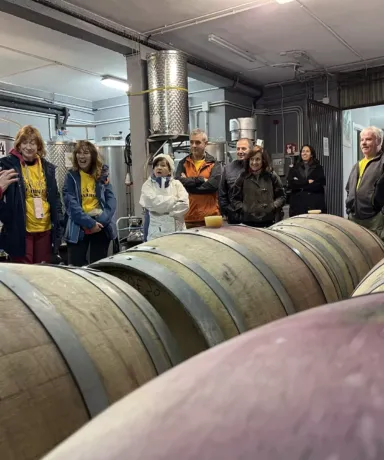 Grupo de personas atendiendo a una explicación en una bodega