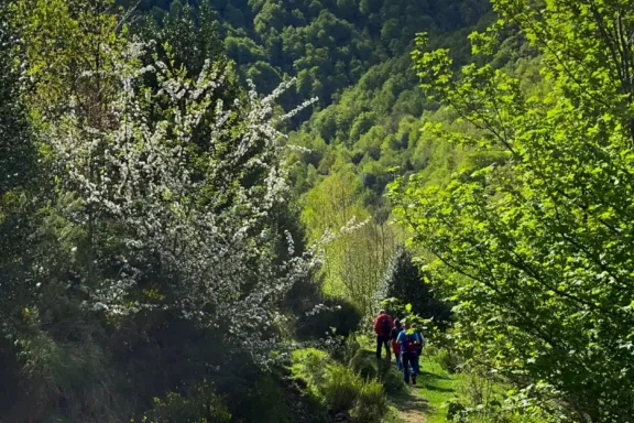 Personas caminando por un camino en el monte