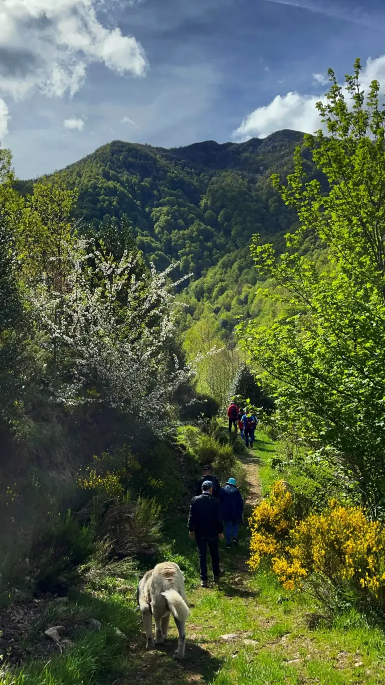 Personas caminando por un camino en el monte