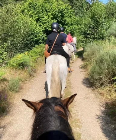 Personas cabalgando en fila por un camino