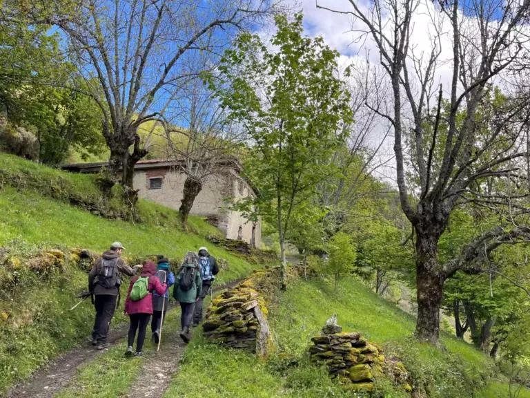 Personas caminando con un camino en el mente