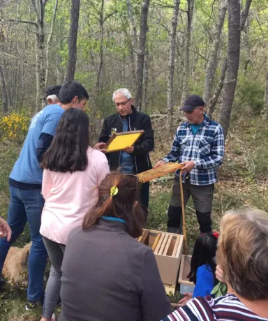 Grupo de personas en el bosque atendiendo a una explicación sobre panales de colmenas