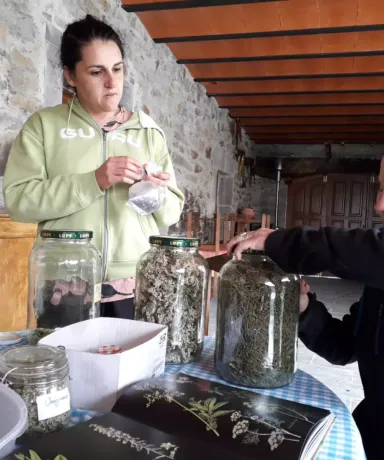 Dos mujeres junto a varios tarros con plantas silvestres