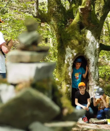 Niños posando para unafoto dentro de un árbol